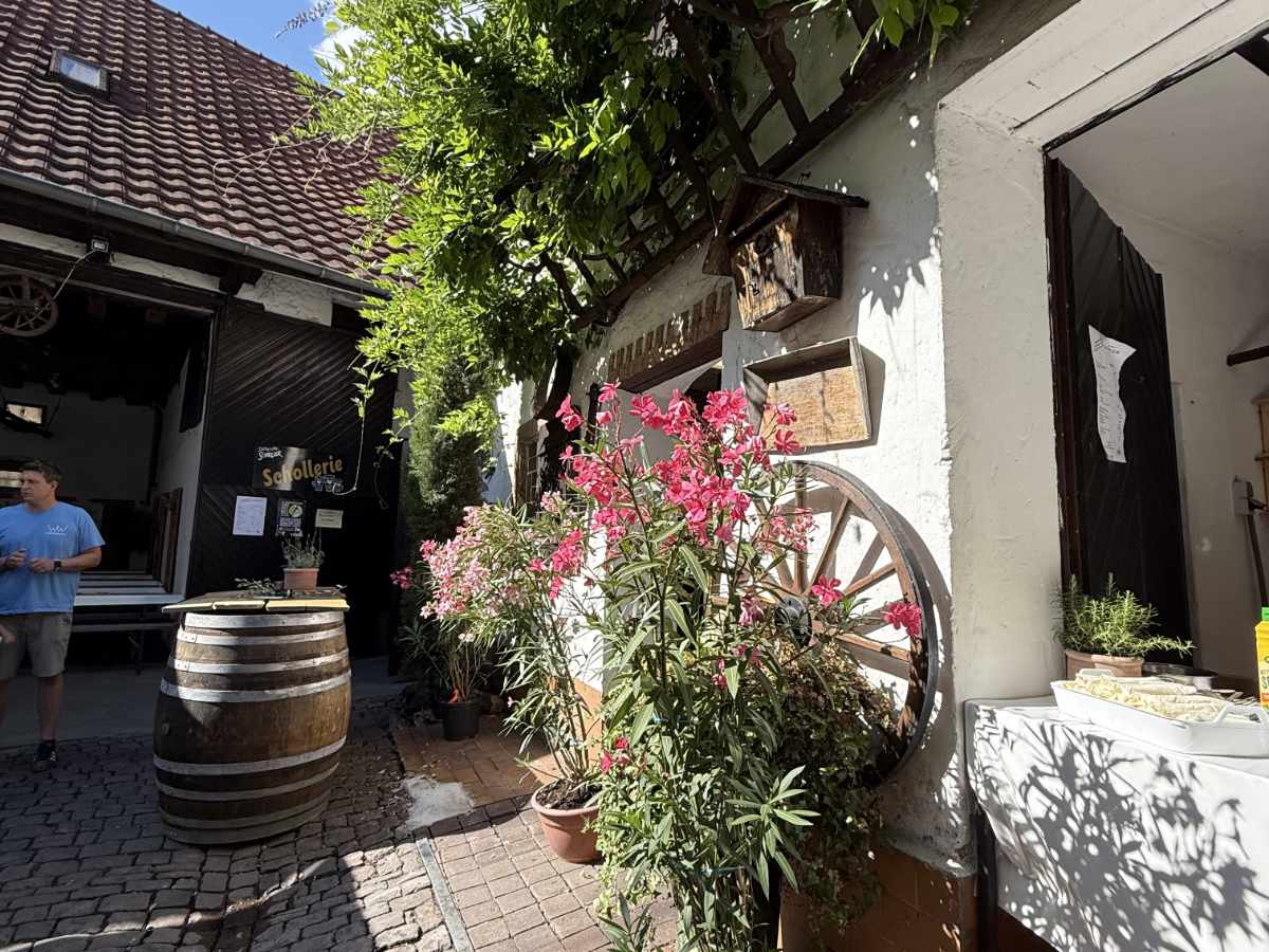 Schorlegewitter bei Schreier