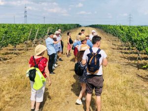 Wandern mit Frank Dietrich