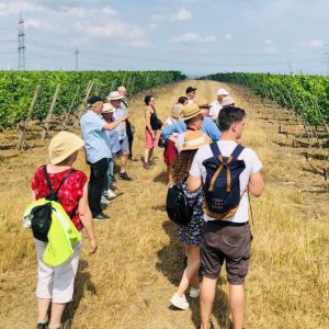 Wandern mit Frank Dietrich